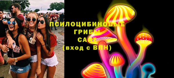 спайс Краснослободск
