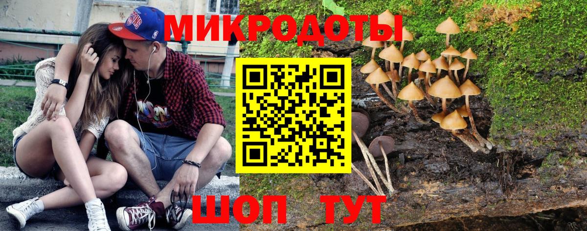 Галлюциногенные грибы прущие грибы  Великий Новгород 