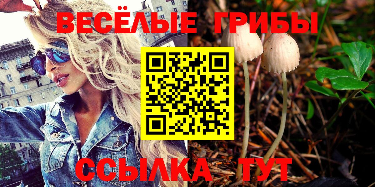  COCAIN Великий Новгород