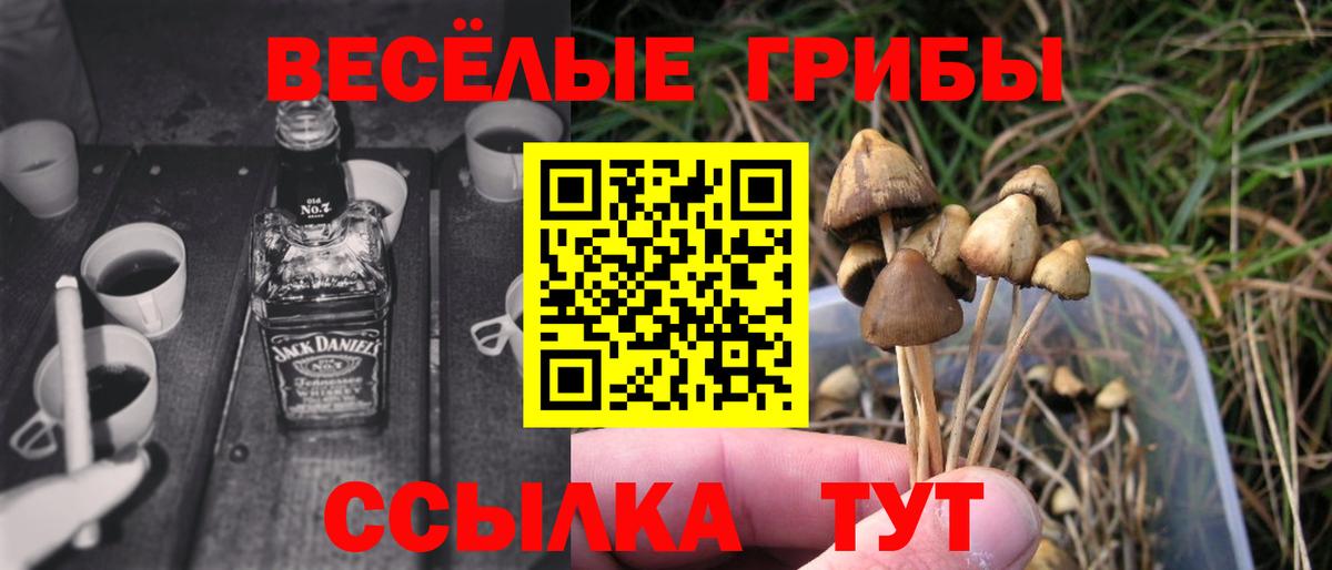 Галлюциногенные грибы Magic Shrooms Великий Новгород