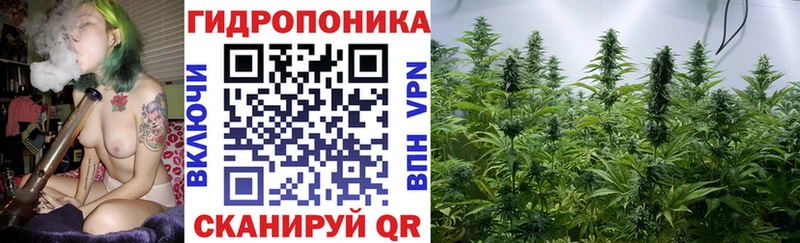 Марихуана THC 21% Великий Новгород